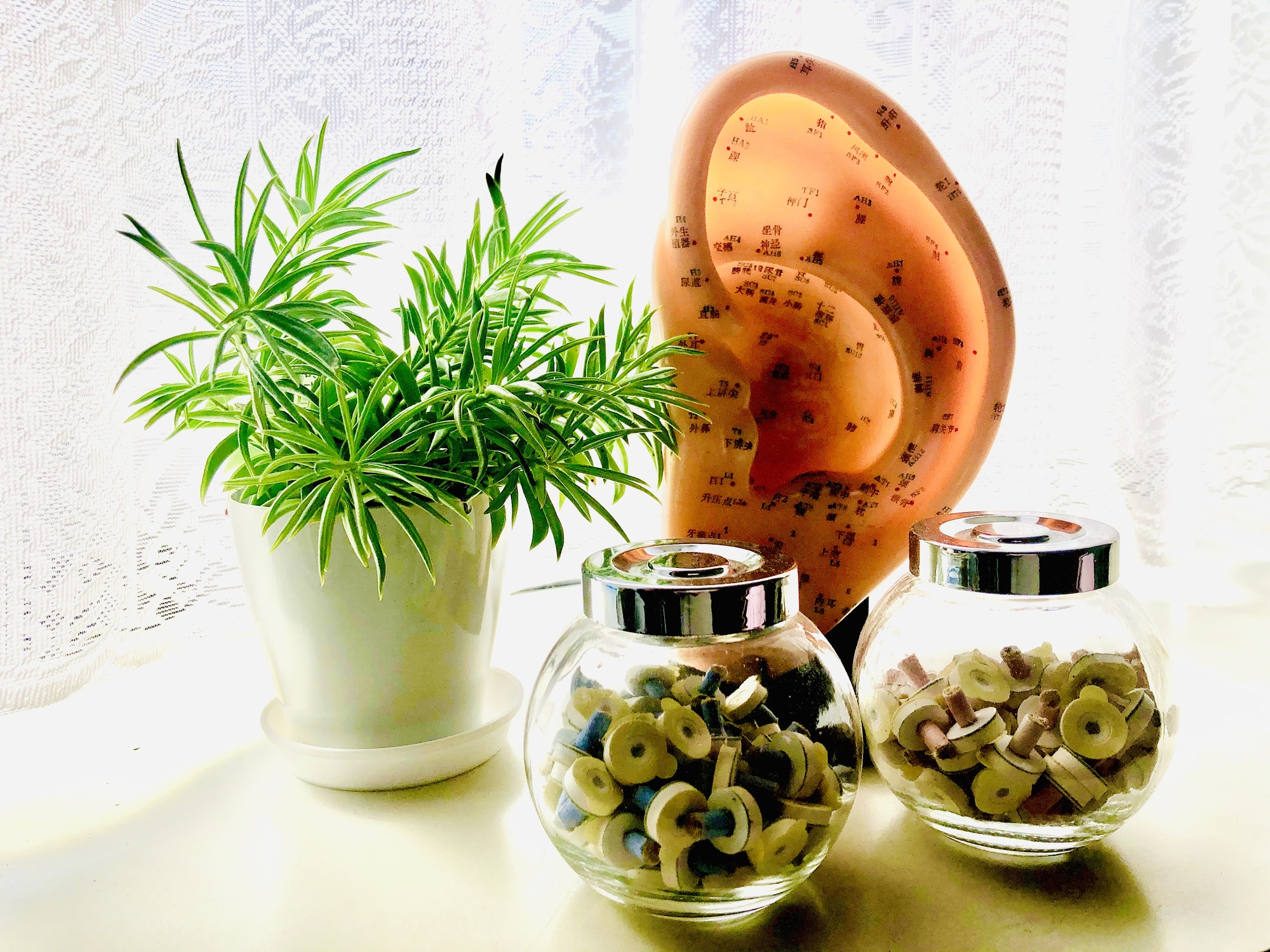 温活サロンYUME日和の紹介写真_2枚目